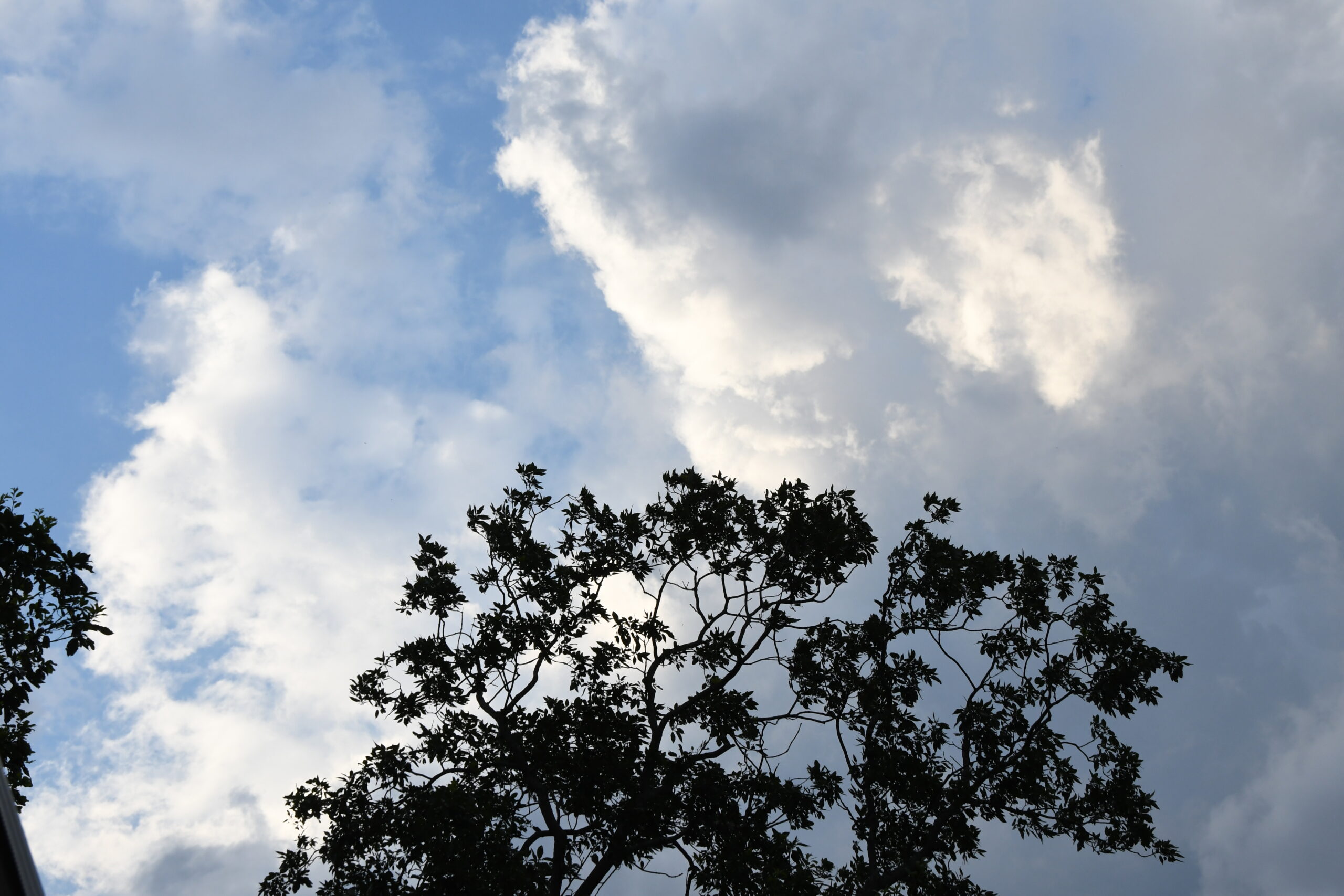 clouds in sky